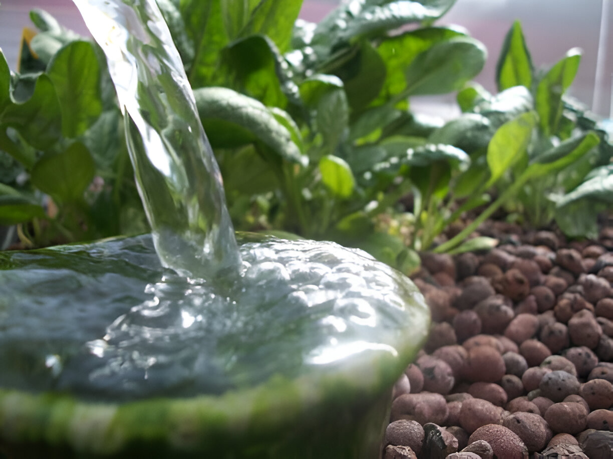 Finding the Perfect Water Feature for Urban Gardens